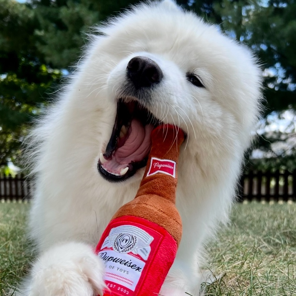 Hi, I’m Jessica 👋 😊 - Picture 3 of 11